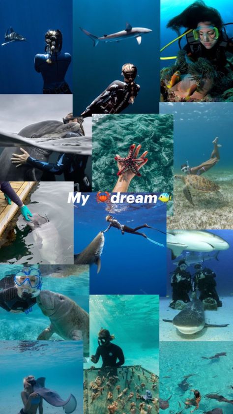 I have always wanted to be a doctor but i have also been wanting to be a Marine biologist such really hard decision 😬 Marine Scientist Aesthetic, Oceanography Marine Biology, Hard Decision, To Be A Doctor, Be A Doctor, Ocean Girl, Marine Biologist, Marine Conservation, Oceanography