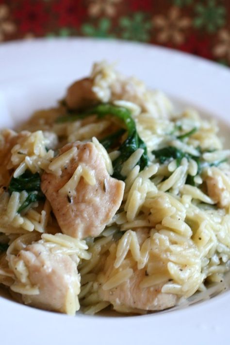 Garlic Chicken with Orzo Noodles | "This is a great combination of flavors and textures, and healthy! The orzo pasta makes this VERY kid friendly." #allrecipes #dinnerideas #dinnerrecipes #dinnerdishes #familydinnerideas #chicken #chickenrecipes Chicken With Orzo, Low Cholesterol Recipes, Diner Recept, Pasta Dinners, Chicken Pasta Recipes, Garlic Chicken, Poultry Recipes, Dinner Menu, Orzo