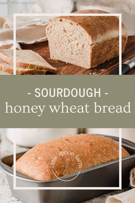 Wheat Sourdough Sandwich Bread, Honey Sourdough, Soft Sandwich Bread, Sourdough Sandwich Bread Recipe, Sourdough Sandwich Bread, Fermented Bread, Sandwich Bread Recipe, Farm Recipes, Honey Wheat Bread