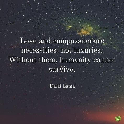 Ellie Monroe on Instagram: “It has come to my attention…” Life Best Quotes, Best Quotes Life, Compassion Quotes, Dalai Lama Quotes, Luxury Quotes, Humanity Quotes, Love And Compassion, Quotes About Life, Go For It