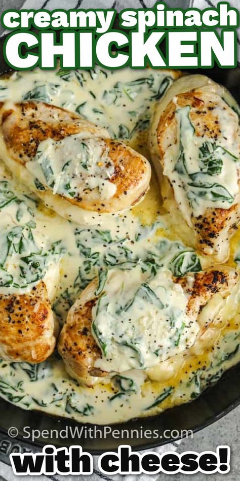 Cheese stuffed chicken breasts in a creamy spinach sauce, this recipe is easy and so delicious! Chicken breasts are filled with cheese, baked, and served in a simple creamed spinach sauce. While it’s really easy to make this meal seems elegant and is perfect served with rice or potatoes. Spinach Stuffed Chicken Breast Recipes, Spinach Stuffed Chicken Breast, Creamy Spinach Chicken, Spinach Cream Sauce, Creamy Spinach Sauce, Spinach Sauce, Crockpot Chicken Breast, Cheese Stuffed Chicken Breast, Stuffed Chicken Breasts