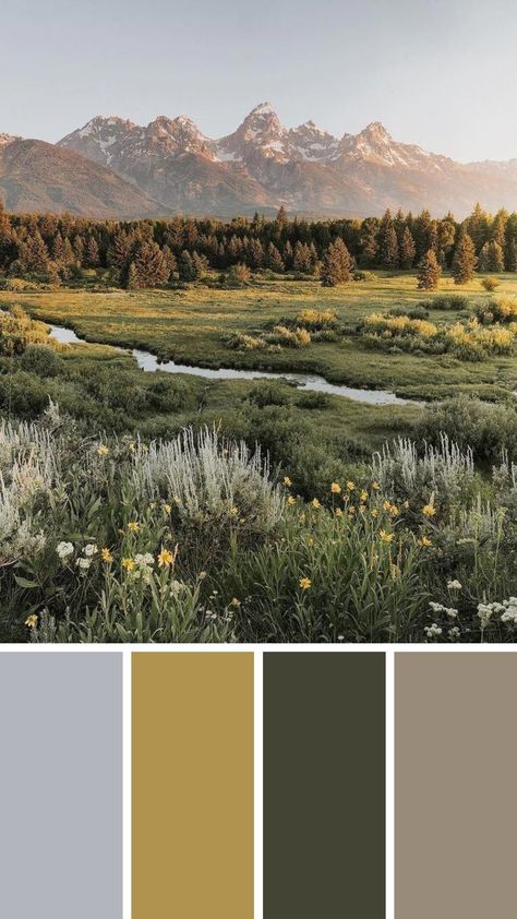 Ireland Color Palette, Colorado Color Palette, Scotland Color Palette, Forest Tones Colour Palettes, Earth Colour Palette Nature, Wilderness Color Palette, Earth Colour Palette, Forest Color, Earth Color