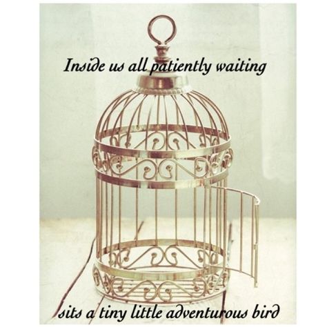 Inside us all patiently waiting sits a tiny little adventurous bird Carpenter Bee Trap, Bird Cage Design, Antique Bird Cages, Ethereal Photography, Bird Cage Decor, Bronze Art, Vintage Bird Cage, Fly Free, Bird Cages