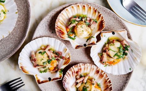 Scallops with pancetta and herb vinaigrette recipe by Angela Hartnett Vinaigrette Recipes, Scallop Shells, Red Wine Vinegar, Starters Recipes, Dijon Mustard, Fennel, Cooking Time, Seafood, Herbs