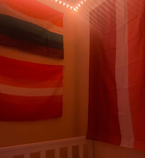 Lesbian Flag Room, Pride Flag Bedroom, Lesbian Flag Aesthetic, Flag On Wall, Oc Design, Lgbtq Flags, Lesbian Flag, Gay Aesthetic, Birthday Stuff