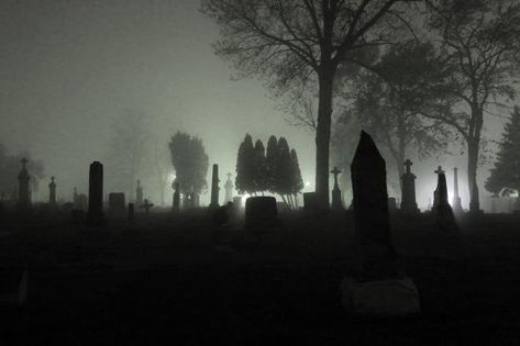 #grunge #graveyard #banner Vampire Widgets, Grunge Banner, Poison Tree, Dark Times, Discord Banner, Super Dark, Ios App Icon, Graveyard, Pretty Pictures