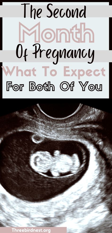 What to expect during the second month of pregnancy. Everything for you and your baby. Click to read ' The second month of pregnancy- What to expect | This little nest pregnancy symptoms, pregnancy second month, first trimester, pregnancy signs, pregnancy signs during the second month, am I pregnant? 2 Month Pregnant, 2 Months Pregnant, Third Month Of Pregnancy, First Trimester Pregnancy, Am I Pregnant, First Month Of Pregnancy, Baby Freebies, First Ultrasound, Prepare For Labor