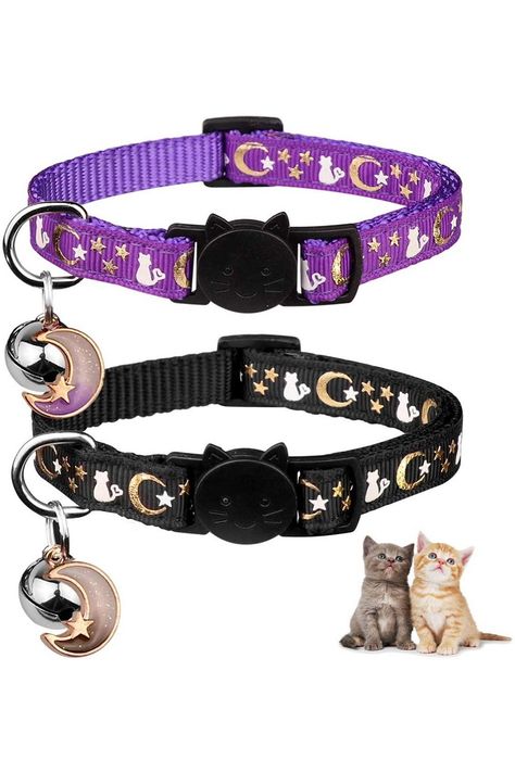 Purple Cat Collar, Kitten Collars, Boy Cat, Cat Items, Cute Kitty, Haiwan Peliharaan, Pet Stuff, Cat Accessories, Cat Room