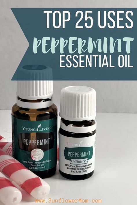 25 Cool Uses for Peppermint Essential Oil Peppermint Essential Oil Benefits, Peppermint Essential Oil Young Living, Peppermint Essential Oil Uses, Citrus Fresh Essential Oil, Peppermint Oil Uses, Young Living Peppermint, Peppermint Plants, Young Living Essential Oils Recipes, Single Parents