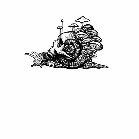 Shroomy Skull Snail Snail Skull Drawing, Snail Ink Drawing, Skull Bug Tattoo, Animal Skulls Tattoo, Nature Skull Tattoo, Skull Snail Tattoo, Snail Tatoos, Mushroom Snail Tattoo, Cool Bug Tattoos