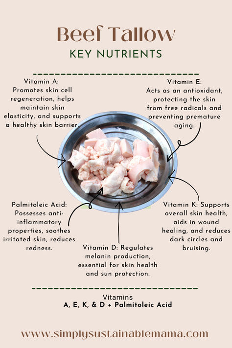 An infographic featuring a bowl of beef tallow with arrows pointing to various vitamins and minerals found in beef tallow, including Vitamin D for bone health, Vitamin K for blood clotting, Vitamin E for immune support, and conjugated linoleic acid (CLA) for weight management. Each nutrient is accompanied by a brief description of its role in promoting overall health and well-being, highlighting the diverse benefits of incorporating beef tallow into your diet." Beef Tallow Hair Mask, Beef Tallow For Hair, Beef Tallow For Skin Benefits, Benefits Of Beef Tallow For Skin, Benefits Of Tallow, Beef Tallow Benefits For Skin, Rendering Beef Fat For Tallow, Beef Tallow Skin Care, Tallow Benefits Skin Care