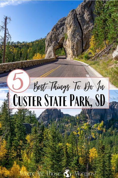 5 Amazing Things To Do In Custer State Park, South Dakota Custer State Park South Dakota, Needles Highway, Diverse Family, Black Elk, South Dakota Road Trip, South Dakota Vacation, South Dakota Travel, Black Hills South Dakota, Yellowstone Trip