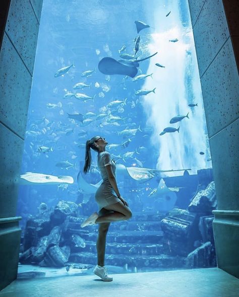 Aquarium Instagram Pictures, Dubai Picture Ideas, Atlantis The Palm Dubai, Dubai Photoshoot, The Palm Dubai, Dubai Hotels, Atlantis The Palm, Aquarium Photos, Aquarium Pictures