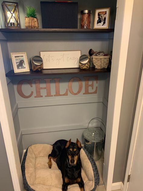 Paint, some clearance decorations, some jars for snack storage.  Cozy nook for your puppy. Turning Closet Into Dog Room, Hall Closet Dog Room, Dog Bed In Closet Ideas, Coat Closet Into Dog Room, Doggie Closet Ideas, Dog Bed In Closet, Closet To Dog Room, Closet Turned Dog Room, Closet Turned Into Dog Room