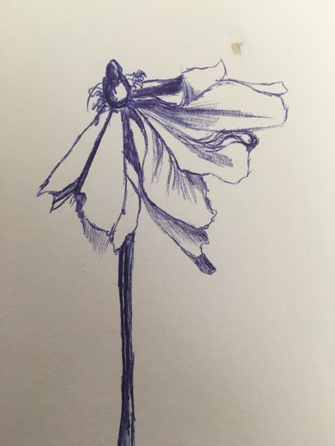 Wilted Flowers, Dead Flowers, Pen Art Work, Art In The Park, Flower Pens, Flowers Drawing, Poetry Art, Flower Sketches, Concept Art Drawing