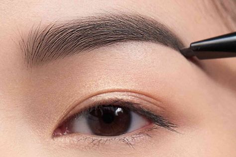 How to Groom Your Eyebrows at Home, According to a Pro - FabFitFun Groom Eyebrows, Eyebrow Maintenance, Brow Maintenance, Brows At Home, Dye Eyebrows, Eyebrows At Home, Witch Hazel Toner, Eyebrow Grooming, How To Grow Eyebrows