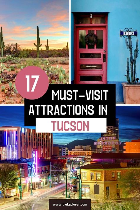 Find the top tourist attractions in Tucson, from the animated Reid Park Zoo to the impressive Pima Air & Space Museum. Unwind in the peaceful Tucson Botanical Gardens, and travel through time at Trail Dust Town. Saguaro National Park features incredible hiking paths and beautiful landscapes, solidifying its status as a prime destination for those who love the outdoors. Tucson Arizona Things To Do, Horseback Riding Trails, Arizona Trip, Arizona Adventure, Arizona Vacation, Saguaro National Park, Arizona Photography, Popular Travel Destinations, Visit Usa