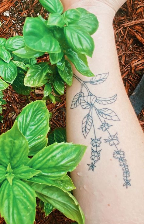 Tattoo Linework, Linework Tattoo, Leaf Tattoo, Basil Leaf, Fine Line Tattoo, Blossom Tattoo, Line Tattoo, Mom Tattoos, Fine Line Tattoos