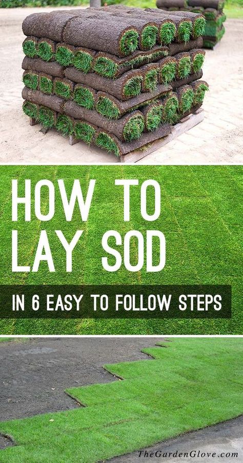 How to Lay Sod in 6 Easy to Follow Steps - Nothing transforms a yard and garden faster then the velvet green of a freshly laid sod lawn. So let’s learn how to lay sod with this step by step tutorial! #laysod #backyardideas #backyardprojects #howtolaysod #newlawn #gardenideas #diygardenideas #diygardenprojects #TGG #plantlawn #plantanewlawn How To Lay Sod, Sod Installation, Diy Lawn, Lawn Care Tips, Yard And Garden, Desain Lanskap, Lawn Maintenance, Gardening Gloves, Diy Garden Projects