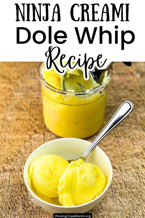 Ninja Creami Dole Whip Recipe Ninja Creami Recipes Dole Whip, Ninja Creami Dole Whip Recipe, Dole Whip Ninja Creami, Dairy Free Dole Whip Recipe, Easy Ninja Creami Dole Whip, Vegan Dole Whip Recipe, Ice Cream Maker Recipes Healthy, Healthy Summer Treats, Dole Whip Recipe