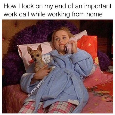 Friday Humor Work, Working From Home Meme, Funny Advice, Mood Memes, Self Deprecating Humor, Office Memes, Supportive Friends, Friend Memes, Call My Mom