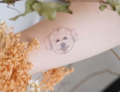 14 Beautiful Bichon Frise Tattoo Designs | Page 3 of 3 | PetPress Bichon Frise Tattoo, Invisible Tattoo, White Fluffy Dog, Dogs Tattoo, Dog Tattoo Ideas, Puppy Face, Fluffy Dogs, Grey Tattoo, Dog Tattoo