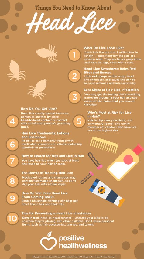 11 Things You Need To Know About Head Lice – Positive Health Wellness Infographic Lice And Nits Remedies, How To Get Rid Of Lice And Nits Fast, Lice Facts, Essential Oils For Lice, Best Way To Get Rid Of Lice And Nits, Wellness Infographic, Hair Lice, Getting A Haircut, Head Louse