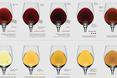 Wine Region Map, Body Chart, Wine Folly, Red Wines, Food Info, Wine Collection, Aging Well, Wine Region, Wine Colored