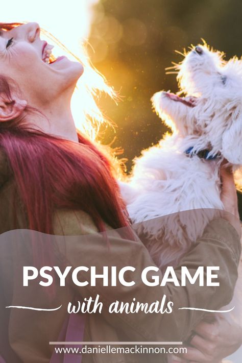 Although animals don’t always “look” like they are connecting intuitively to another person or animal, they can respond in the physical, if they choose. However, they often have no need for a physical response.  But THIS is what we’re going to play with for this game – an animal’s ability to visibly respond to a psychic message!  ***  #pets #animals #cats #dogs #psychic #games #connection Pet Psychic, Animal Experiments, Animal Communication, Psychic Ability, Communication Methods, Lost Cat, People Struggle, Psychic Abilities, Wild Birds