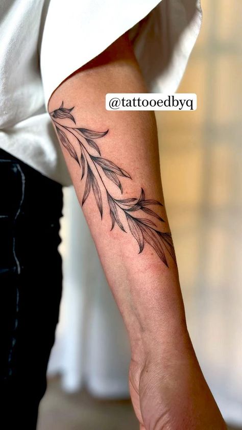 Outer Bicep Tattoos, Bicep Tattoos, Pine Tattoo, Olive Branch Tattoo, Willow Tree Tattoos, Around Arm Tattoo, Fern Tattoo, Inner Forearm Tattoo, Wrap Tattoo