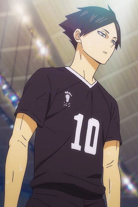 Haikyuu Volleyball, Volleyball Anime, Haikyuu Wallpaper, Haikyuu 3, Hero Costumes, Haikyuu Manga, Haikyuu Characters, Anime Screenshots, Cute Cats And Kittens