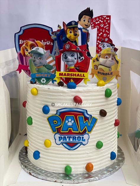 Paw Patrol Diy Cake, Paw Patrol Treats, Paw Patrol Birthday Decorations, Hot Wheels Cake, Paw Patrol Birthday Cake, Twin Birthday Parties, 3rd Birthday Cakes, Paw Patrol Cake, Mini Cakes Birthday