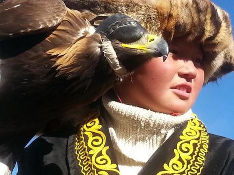 Eagle Huntress, Pictures Of People, Mongolia, Eagles, Hair Wrap, Media, Photography, Animals, Beauty