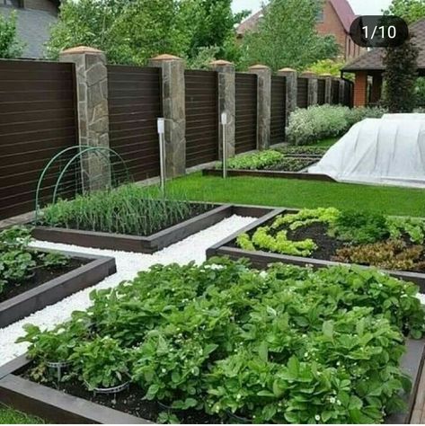 Landscaping Around Trees, Front Garden Design, Backyard Vegetable Gardens, Modern Garden Design, Modern Backyard, Home Vegetable Garden, Vegetable Garden Design, Budget Backyard, Garden Layout