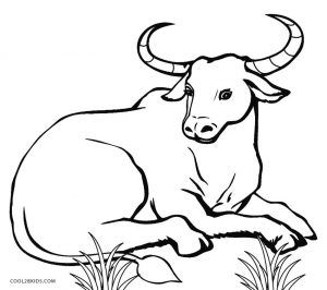 Free Printable Cow Coloring Pages For Kids | Cool2bKids Carabao Drawing Easy, Printable Cow, Cow Coloring Pages, Cow Drawing, Cow Colour, License Plate Art, Cat Work, Human Figure Sketches, Animal Drawings Sketches