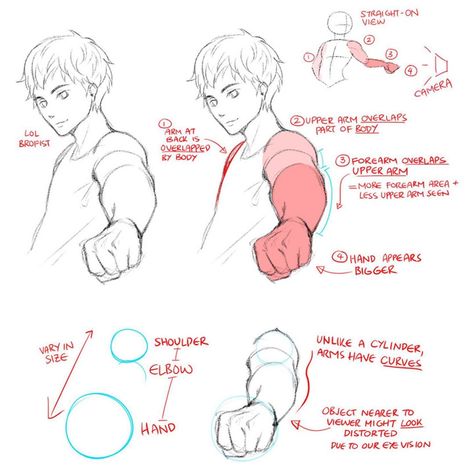 Art Tutorial Tips And Tricks on Instagram: “A guide to human perspective drawing . . . Did you find this helpful? . . Credit  Circususagi on tumblr . .  Follow @art.tips.tutorials for…” Manga Tutorial, Anatomy Tutorial, Different Poses, 캐릭터 드로잉, Perspective Drawing, Anatomy Drawing, Poses References, Guided Drawing, Anatomy Reference