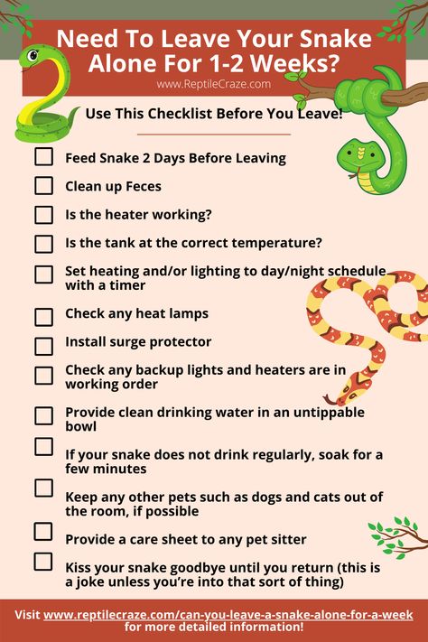 Most snakes can be left alone for a week aslong as they have been fed and have access to enough clean drinking water. Any lights and heaters will need to be set on a timer, and it’s best to feed the snake two days before leaving in case of any regurgitation or faeces.Let’s take a look at what you need to do if you’re leaving your snake home and going on vacation. We even provide a checklist for you at the end of this article! Snake Habitat Ideas, Snake Breeding, Snake Care, Pet Reptiles, Snake Enclosure, Hognose Snake, Winky Face, Reptile Care, Pet Sitting Services