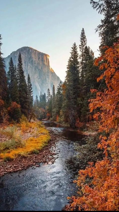 Nature Architecture, Yosemite Falls, Pretty Landscapes, Fall Hiking, Autumn Scenery, Autumn Landscape, Yosemite National, Nature Aesthetic, Yosemite National Park