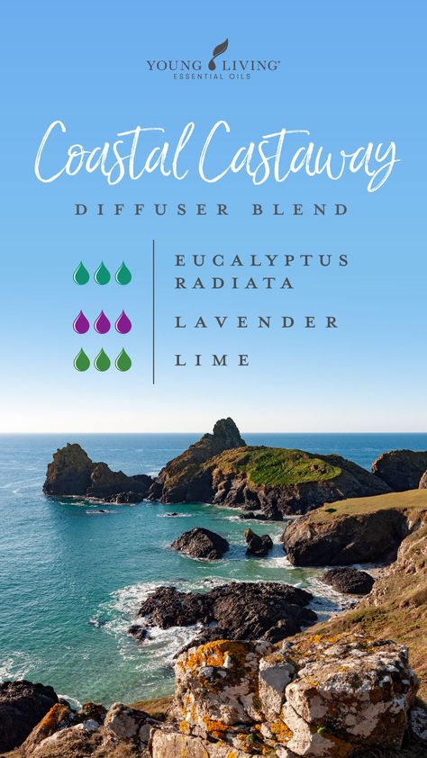 Lavender Diffuser, Diffuser Blends Young Living, Summer Diffuser Blends, Summer Essential Oils, Eucalyptus Radiata, Essential Oil Diffuser Blends Recipes, Young Living Essential Oils Recipes, Essential Oil Diffuser Recipes, Yl Essential Oils