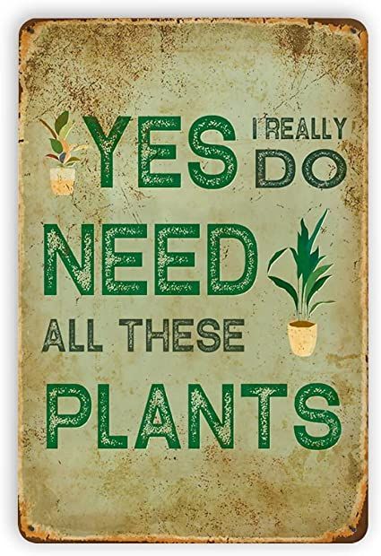 Garden Quotes Signs, Funny Garden Signs, Garden 2023, Funny Wall Decor, Hanging Plant Wall, Farmhouse Garden, Vintage Tin Signs, Garden Wall Decor, Garden Signs