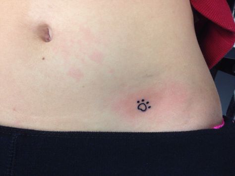 Kitty paw-print outline tattoo! Tattoo Dog Outline, Stick Poke Tattoo, Dog Paw Tattoo, Dog Outline, Paw Tattoo, Tattoo Ideas For Men, Poke Tattoo, Stick And Poke, Baby Tattoos