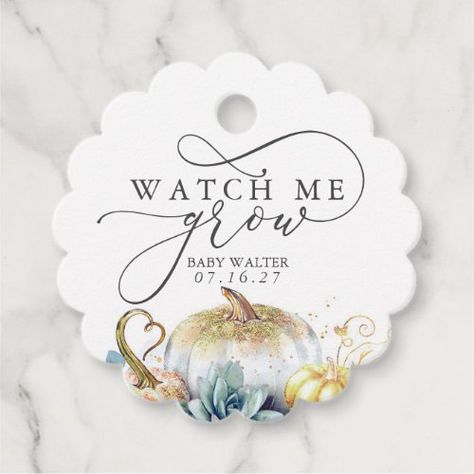 $ 13.8 | Watch Me Grow - Succulents Pumpkins Baby Shower #watch me grow baby shower, succulents greenery and pumpkins fall, cute summer garden botanical foliage, gold eucalyptus leaves boho, elegant script calligraphy autumn, summer garden foliage rustic country, trendy modern typography harvest, sage green soft pastel, natural dusty blue Grow Succulents, Pumpkin Favors, Succulent Pumpkin, Watch Me Grow, Gold Pumpkins, Unique Favors, Baby Shower Favor, Baby Shower Pumpkin, Baby In Pumpkin