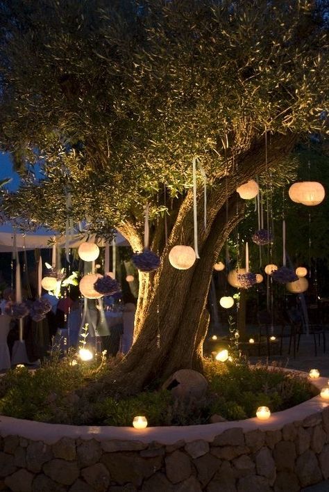 Lightning Ideas, Outdoor Tree Lighting, Fairy Lights In Trees, Tattoo Garden, Garden Tattoo, Outdoor Restaurant Design, Lights Decoration, Wedding Backyard, Lights Wedding Decor