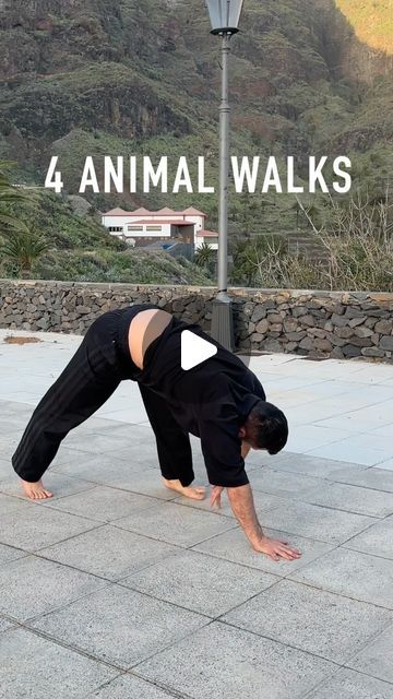 Kenan Dinkelmann on Instagram: "Check out those 4 animal walks to improve your agility, mobility and strength! The first one is called down dog walk btw. 

If you are interested in this way of moving, I invite you to check out my Flow Acrobatics online courses for beginners or advanced as well as my individual online coaching program. Since June 2020 I have been working with over 700 people already!
To find more info about the 7 weeks online courses or the coaching program visit my website flowacrobatics.com link in bio.

 #flowacrobatics #flow #acrobatics #contemporarydance #moderndance #movement #movementculture #floorwork #floorworktechnique #mobility #dance #dancer #dancersofinstagram #coaching" Animal Walks, Mobility Drills, Primal Movement, Animal Flow, Animal Movement, Dog Walk, Family Fitness, Modern Dance, Fitness Activities