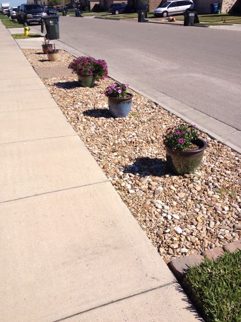 Here is a way to take care of the hell strip ! Very low maintenance Curb Sidewalk Landscaping, Median Landscaping, Parking Strip Landscaping, Curbside Landscaping, Sidewalk Garden, Drought Tolerant Landscape Front Yard, Patio Yard Ideas, Sidewalk Landscaping, Low Maintenance Landscaping Front Yard