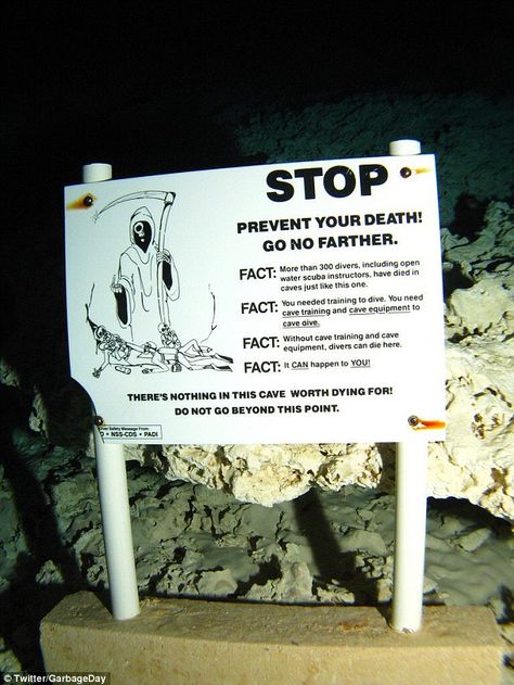 The two divers had to pass by this sign on the way into the sinkhole near Tampa, Florida Underwater Caves, Cave Diving, Creepy Pictures, Warning Signs, Make It Through, Funny Signs, A Sign, Diver, The Ocean