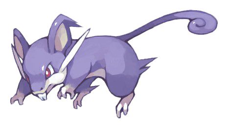 Rattata Pokemon, Normal Pokemon, Marvel Comics Artwork, Pokémon Art, Pokemon Red, Eevee Evolutions, Pokemon Fusion, Pokemon Teams, Me First