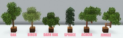 Plants Everywhere, Minecraft Tree, Mini Tree, Pocket Edition, Smart Auto, Minecraft Builds, Potted Trees, Trees To Plant, Potted Plants