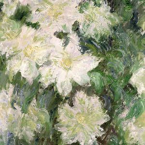 White Clematis by Claude Monet Georges Clemenceau, White Clematis, Saint Art, Decor Palette, Alexandra Malena, Free Aesthetic, Literature Art, Sketch Art, Aesthetic Iphone