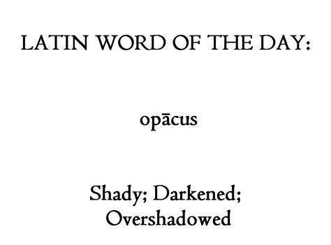 Ancient History Encyclopedia on Twitter: "#Latin #Words… " Learn Latin, Latin Quotes, Latin Language, Latin Phrases, Latin Word, Uncommon Words, History Education, Unusual Words, Rare Words